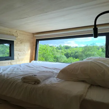 Chalet Moose Genets *