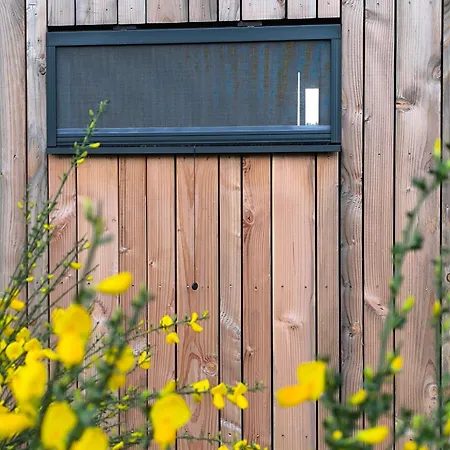Moose Tiny House Genets *
