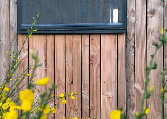 Moose Tiny House Genets *