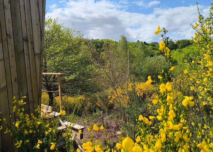 Moose Tiny House Genets Chalet