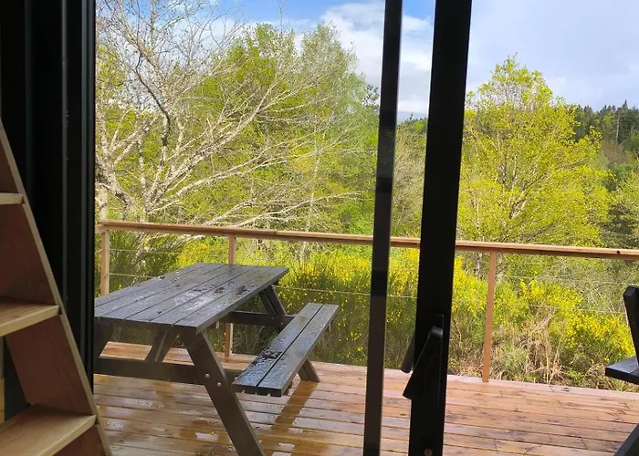 Chalet Moose Tiny House Genets